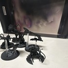 Warhammer 40 Drukhari Beast Master Pack Fine Cast Oop