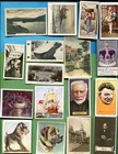 101 All Different Tobacco Card Lot From 101 All Different Sets