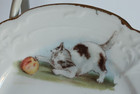 Antique Children   s Porcelain Tea Set 17pc Kittens Puppies German Transferware
