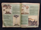 1976 Jan National Weed Magazine  1   4 5 5  Ft  David Crosby   Zippy Pinhead