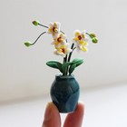 Dollhouse Miniature 1 12 Scale Ceramics Flowerpot Flowers Phalaenopsis Accessory