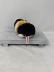 Aurora Guinea Pig 6  Plush Stuffed Animal Toy