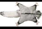 Sugar Glider Hansa Realistic Animal Plush Toy 22cm   free Delivery  