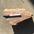 Large Petrified Wood - 11 Lb  10 x6  All Sides Flat Fossil Rock Bookend Beauty 