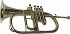 Superb Deal Brass Plated Bb Flat 4 Valve Flugel Horn  free Hard Case mouthpiece 