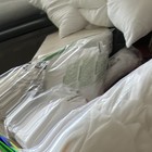 Standard White Bed Pillow  Polyester Fill  Machine Washable  Solid Rectangle