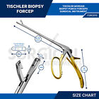 Tischler-morgan Biopsy Forceps 3mmx7mm Bite 25cm Gold Handle Gynecology Surgical