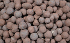 Taconite Pellets - Iron Ore - Marquette Iron Range - Micihgan - 5 Lbs - Free S h