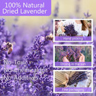 Dried Lavender Bundles   Natural Dried Lavender Flowers 280-300 Stems 16    For Ho