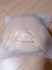 Stray Kids World Tour Dominate Seouls Skzoo Han Quokka Cushion Han Jisung Mint