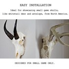 European Deer Skull Mount Hanger  Euro Wall Mount Hanger For Deer Head