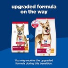 Hill s Science Diet Adult Dry Dog Food - Chicken   Barley 35lb