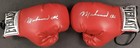 Muhammad Ali Signed Boxing Gloves Everlast Goat Stunning Pair Autograph Jsa