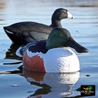 Avery Ghg Greenhead Gear Over-size Shoveler Duck Decoys - 1 2 Dozen