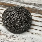 Sea Urchin Silver Metal Magnet Refrigerator Magnet