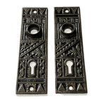 Pair Antique Victorian Eastlake Ornate Backplates Arcadia Set Door Plates  e5