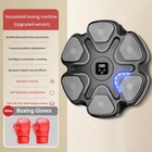 Premium Music Boxing Machine With Gloves  Smart Bluetooth Machine With Led 