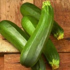 Dark Green Zucchini Summer Squash Seeds  Non-gmo  Variety Sizes  Free Shipping