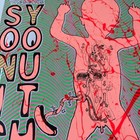 Sonic Youth Lindsey Kuhn 2002 Gig Original Poster 17 X 22