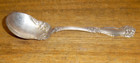 1908 Wm  Rogers   Son International Silver Plate Sugar Spoon - Arbutus - 5 7 8 