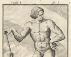 2 Rare Antique Anatomical Prints-man-naked-model-spigelius-casserius-1645