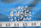   Apple Blossom Shells   75 Tiny Pink white   Shellcraft   Sailor s Valentines  