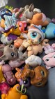 Littlest Pet Shop  Random Lot Of 10 Mixed Pets  Pfsf Home  In Good Condition