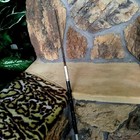 African Fishing Spear  Zambian Vintage Working  For Fish  Frogs  Three Tine 47 