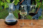 Wine Glass Cover - 4 Pack