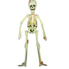Vintage 90s  Fun World Die Cut Jointed Skeleton Halloween Spooky Mice Ghosts