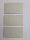 1900s Antique Photo Lot Rawleigh s Medicines Horse Drawn Delivery Wagon Adv 3pc