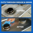 16 5 Oz  Aerosol Spray Stainless Steel Cleaner And Polish