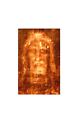 Shroud Of Turin 24x49 Printed On Art Canvas Fabric Stunning 