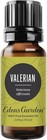 Valerian Essential Oil- 100  Pure  Grade  Undiluted  Natural  Therapeutic  Ar   