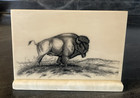 Art Plaque Buffalo Etched Montana Marble Wildlife Signed Borgreen Vtg 80s