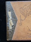 Vintage Snap Shot Photo Album W  Indian Chief Native American Travel Souvenir 
