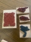 4 Frogs Wood Mounted Rubber Stamps