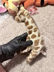 Ty Beanie Babies Original Stretch The Giraffe Plush 1998 Vintage Age 3 