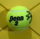 Ben Shelton Signed Autographed Psa Authenticated  Tennis Ball  Beautiful   