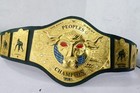 The Rock Brahma Bull World Heavyweight Wrestling Championship Stack Title Belt