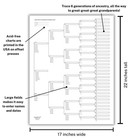 10 Large Print Six Generation Pedigree Charts For Family History   Archival-q   