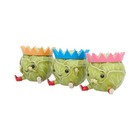 Three Wise Sprouts By Nemesis Now