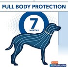 Hartz Ultraguard Flea   Tick Collar For Dogs   Puppies 26   7 Month Protection