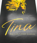 The Tina Turner Musical Promo Poster 17x12 German Edition Art Print