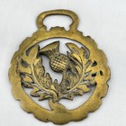 Brass Horse Medallion Vintage English Scottish Thistle Flower Parade Harness
