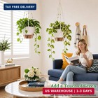 10 Inch Hanging Planters For Indoor Plants  2 Pack Self Watering Hanging Baskets