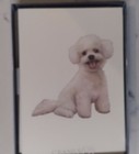 Vintage Lot Of Bichon Frise Dog Blank Note Cards 20 3 Different Styles Read