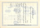 1900 First National Bank Of  Dover Stock Certificate  Unissued  Delaware