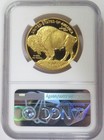 2006 W Gold  50 Proof Buffalo 999 9 Fine 1 Oz Coin Ngc Pf 69 Ultra Cameo