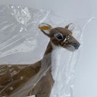 Vintage Deer Fawn Figure Christmas Decor Nos For Carolers Village Trees Display 